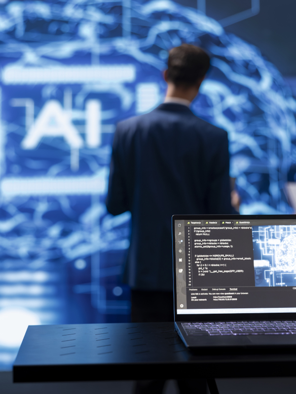 Consultor&iacute;a IA